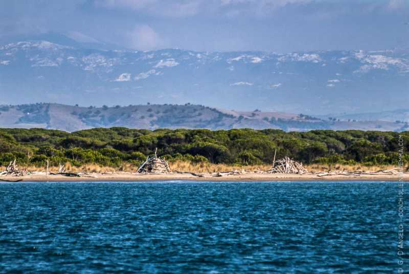 Mare e neve, dall'Alberese alla vetta Amiata